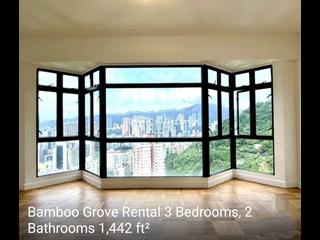 Mid Levels East - Bamboo Grove 04