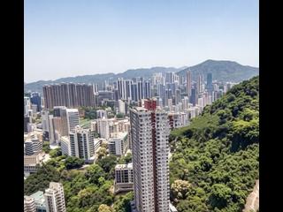 Mid Levels East - Bamboo Grove 05