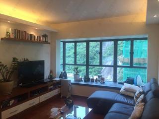 Mid Levels Central - Winsome Park 02