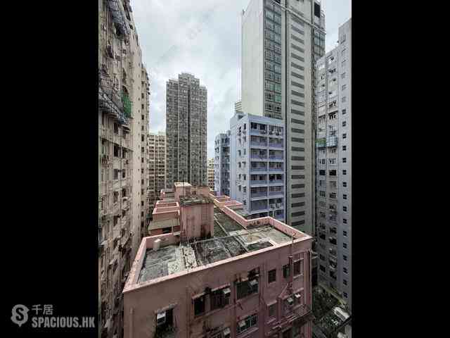 Shek Tong Tsui - Eight South Lane 06