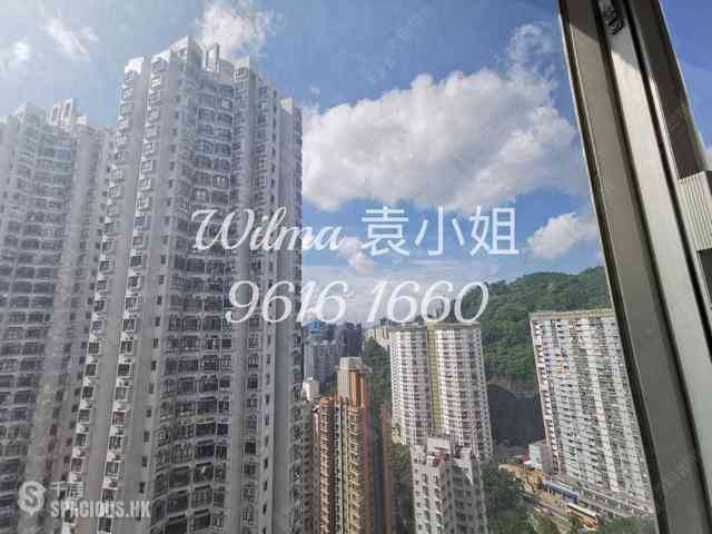 大坑 - 帝后台 13