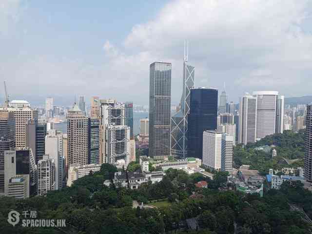 中半山 - 旧山顶道2号 01