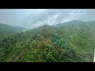 愉景灣 - 愉景灣3期 寶峰 14