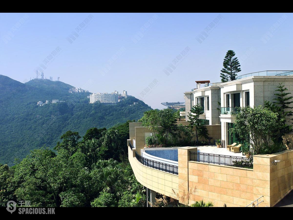 The Peak - Kelletteria 01