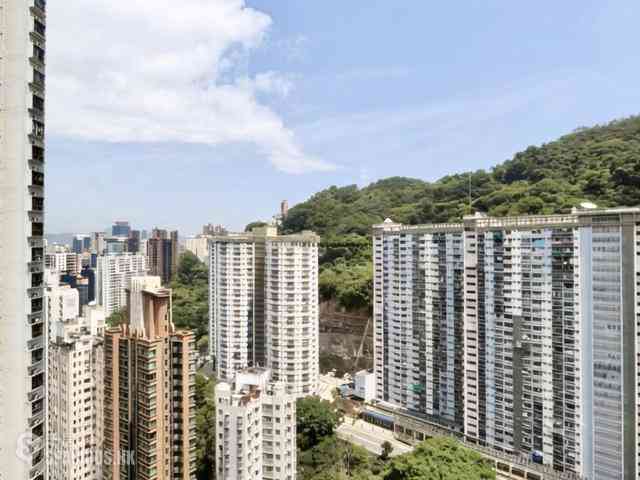 大坑 - 帝后台 03