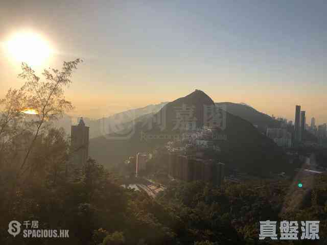大潭 - 阳明山庄 摘星楼14座 03