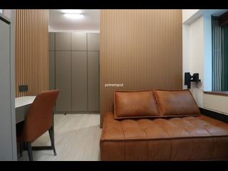 Wan Chai - 1, Star Street 08