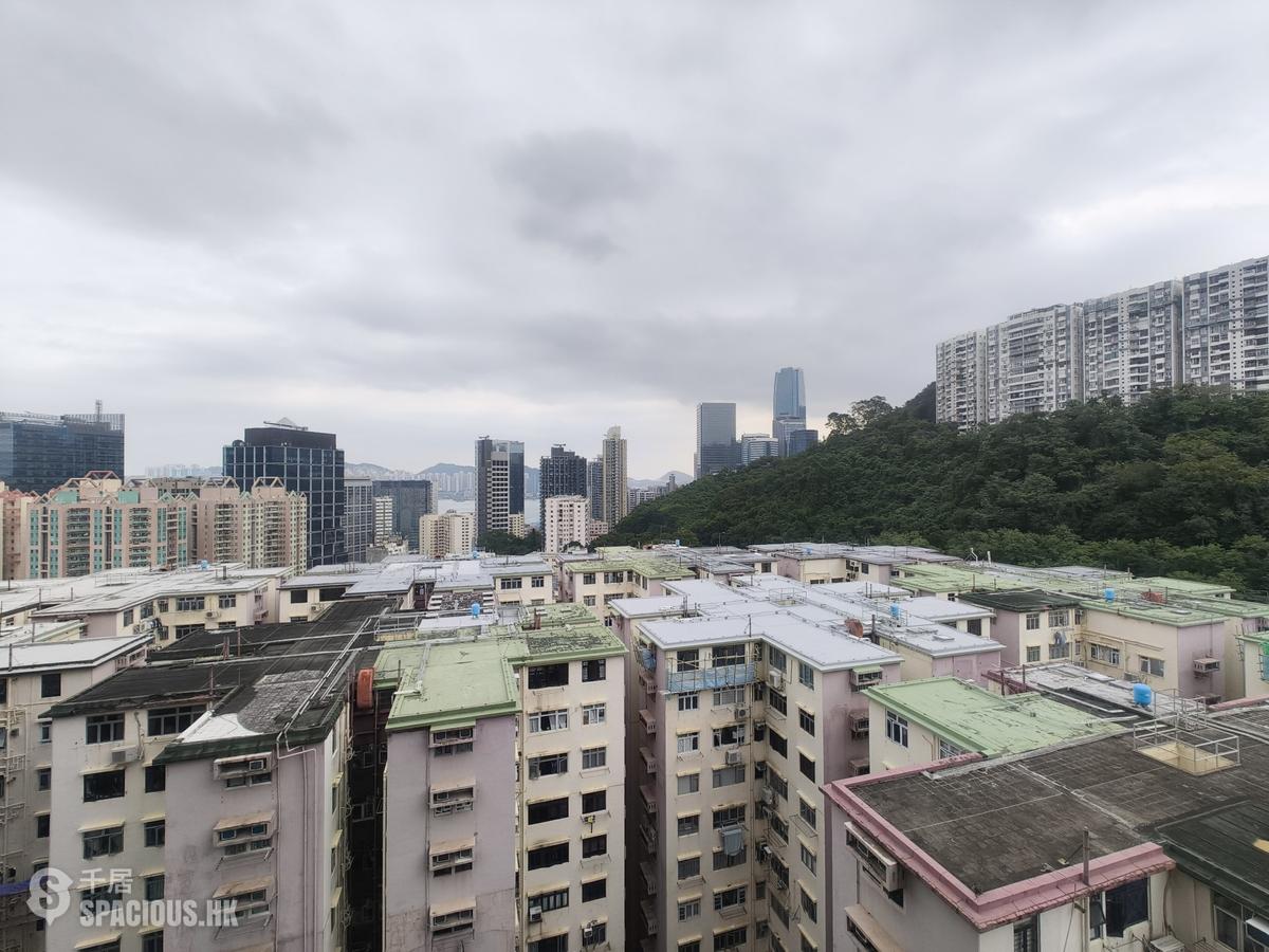 北角 - 柏蔚山 01
