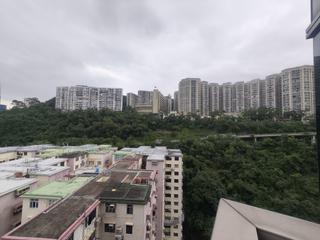 北角 - 柏蔚山 07