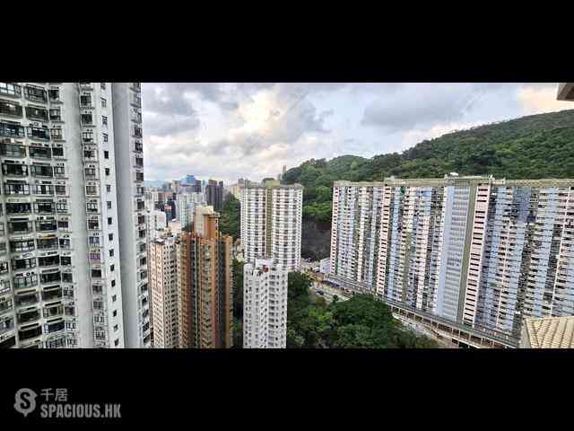 大坑 - 帝后台 05