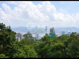 山顶 - 柏架别墅 03