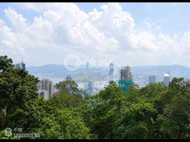 山顶 - 柏架别墅 03