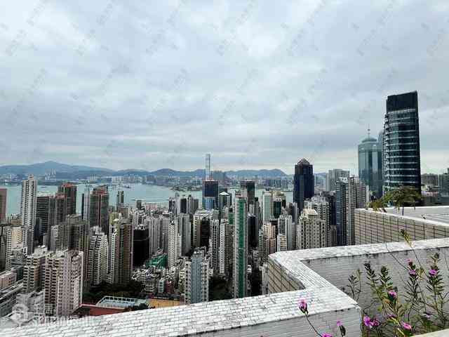 Mid Levels West - Hong Kong Garden 20