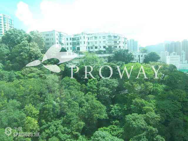 Tai Hang - Y.I 02