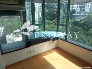 大坑 - Y.I 06