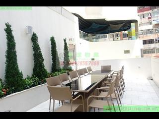 坚尼地城 - 加多近山 28