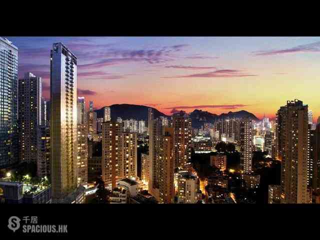 大坑 - 春晖8号 30