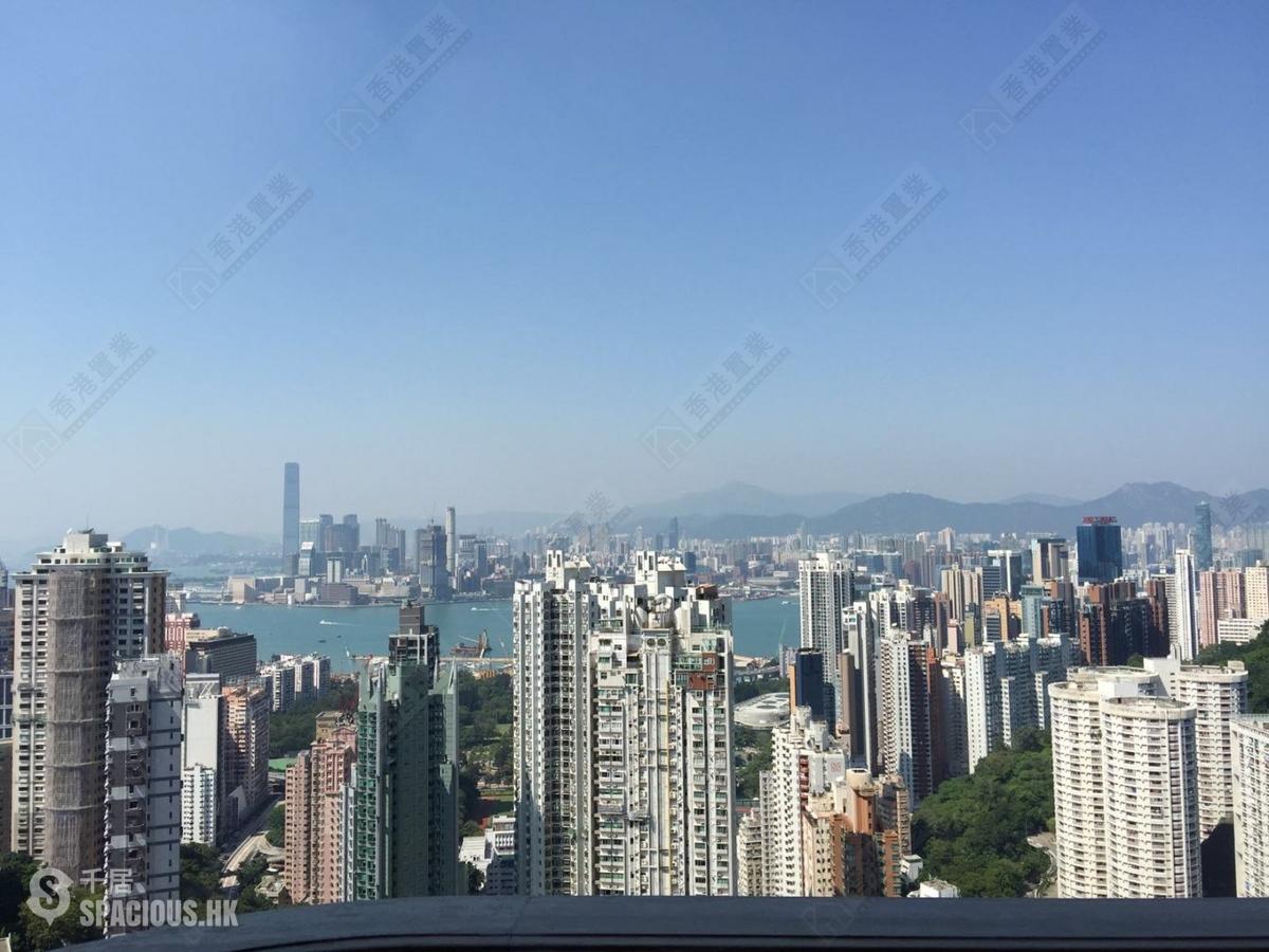 大坑 - 春晖8号 01
