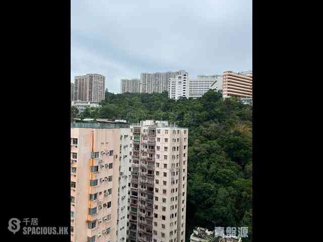 北角 - 曉峰 17