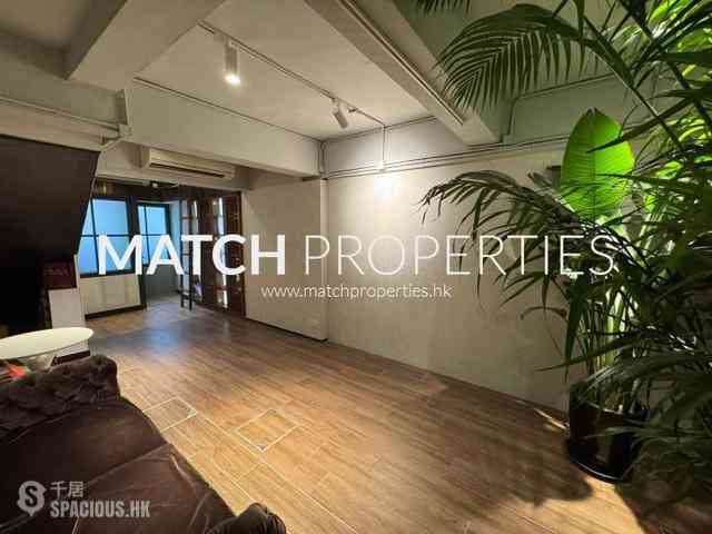 Poho - 19, New Street 11