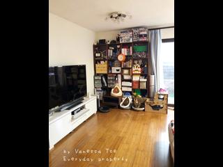 清水湾 - 茅莆 03