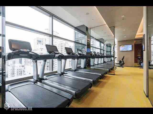 Sai Ying Pun - King's Hill 22