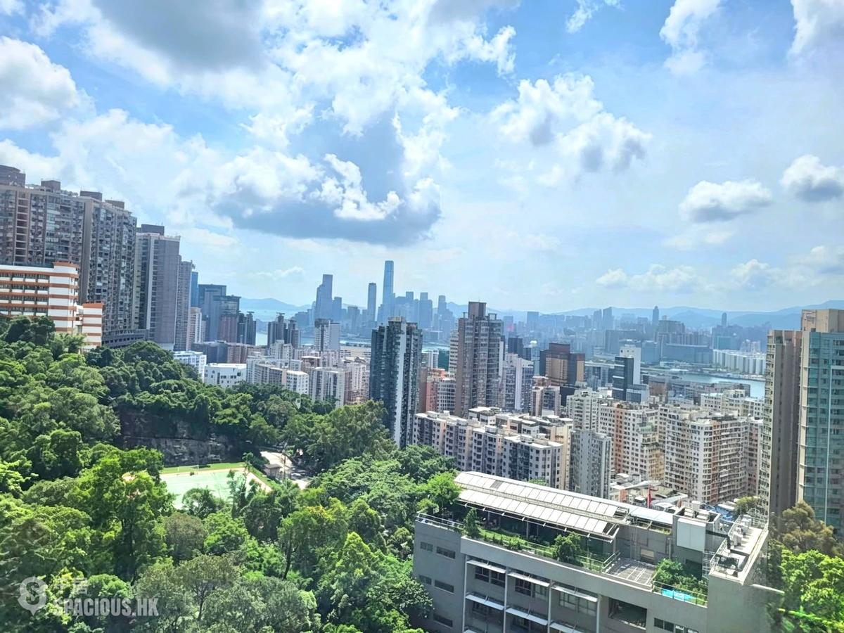 寶馬山 - 寶馬山花園 01