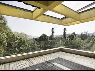 Stanley - Carmelia 11