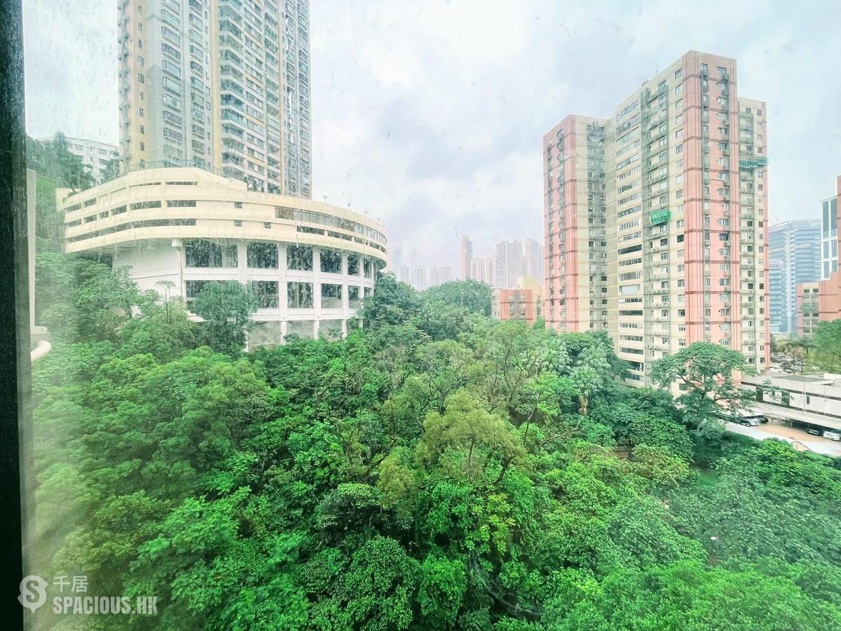 Tai Hang - 1, Tai Hang Road 01