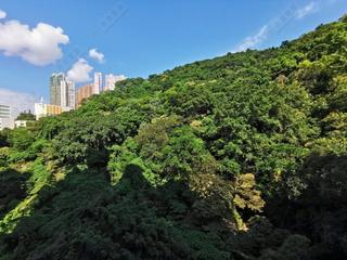 天后 - 柏傲山 03