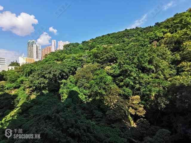 Tin Hau - The Pavilia Hill 03