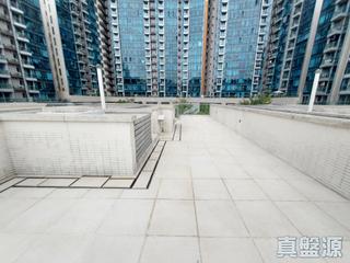 将军澳 - Savannah 06