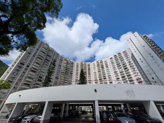 司徒拔道 - 玫瑰新村 11