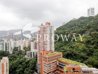 東半山 - 竹林苑 02