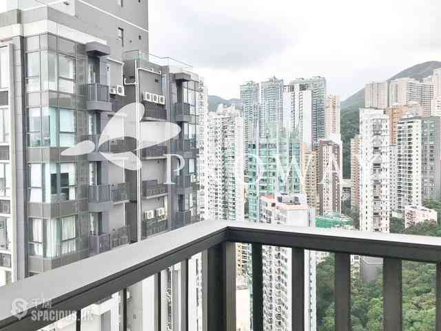 Causeway Bay - Jones Hive 05