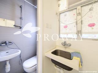 Mid Levels West - Greenview Gardens 12