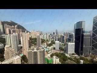 中半山 - 寶樺臺 29