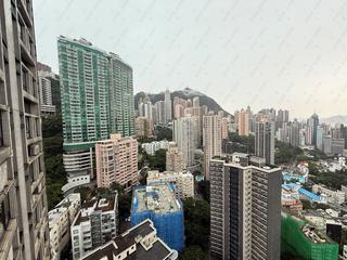 中半山 - 寶樺臺 05