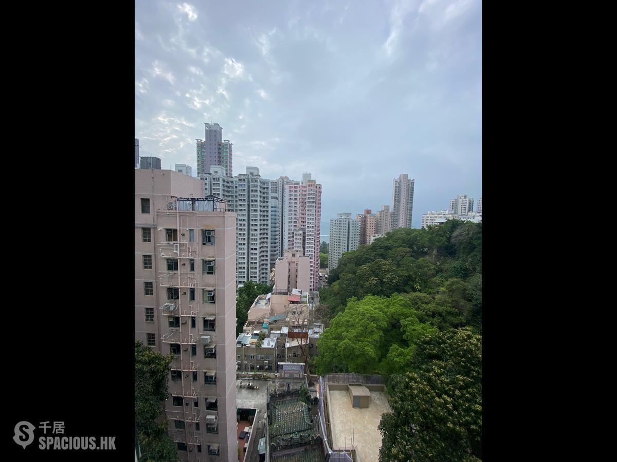 堅尼地城 - 桃李園 01