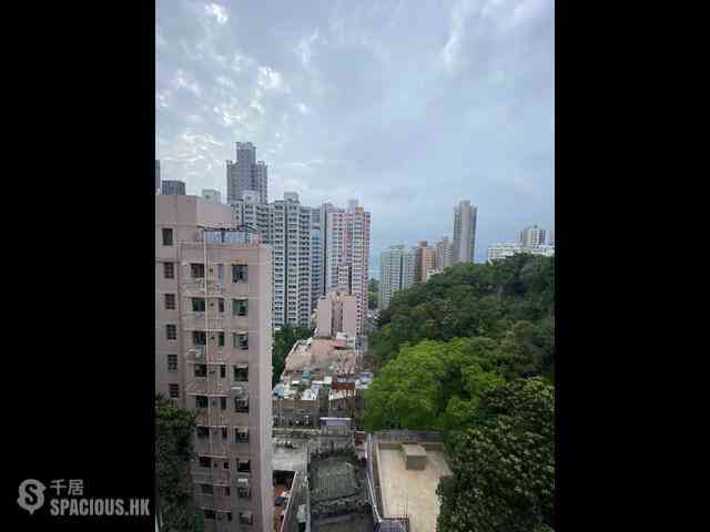 堅尼地城 - 桃李園 01
