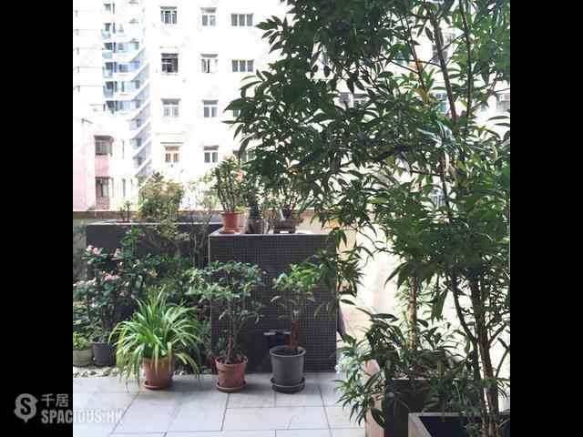 Sai Ying Pun - Grand Scholar 09