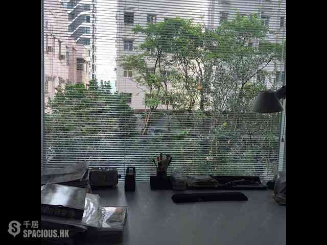 Sai Ying Pun - Grand Scholar 13