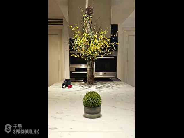 Pok Fu Lam - Villa Cecil 03