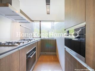 Shau Kei Wan - Island Garden 10