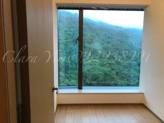 Shau Kei Wan - Island Garden 14