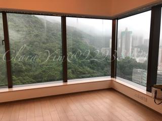 Shau Kei Wan - Island Garden 17