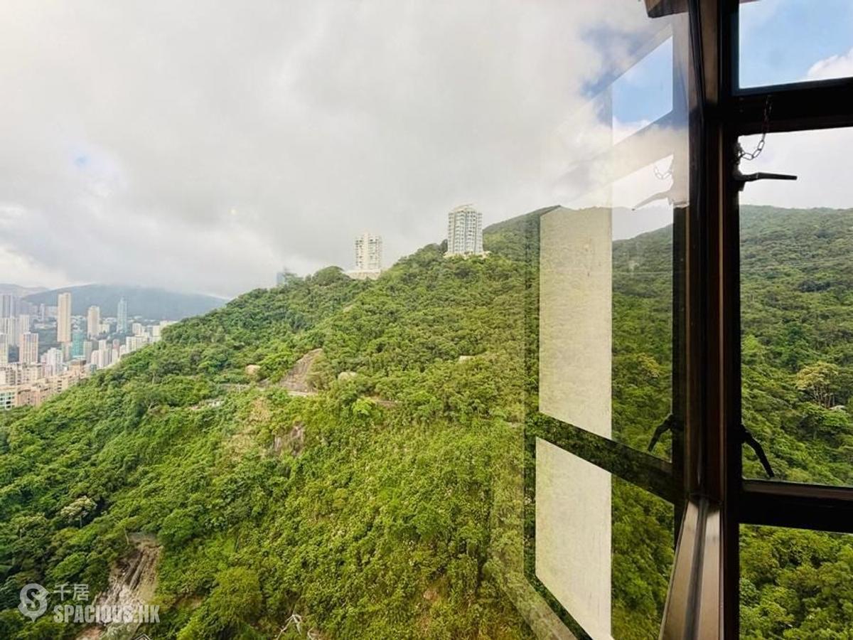 東半山 - 竹林苑74号 01