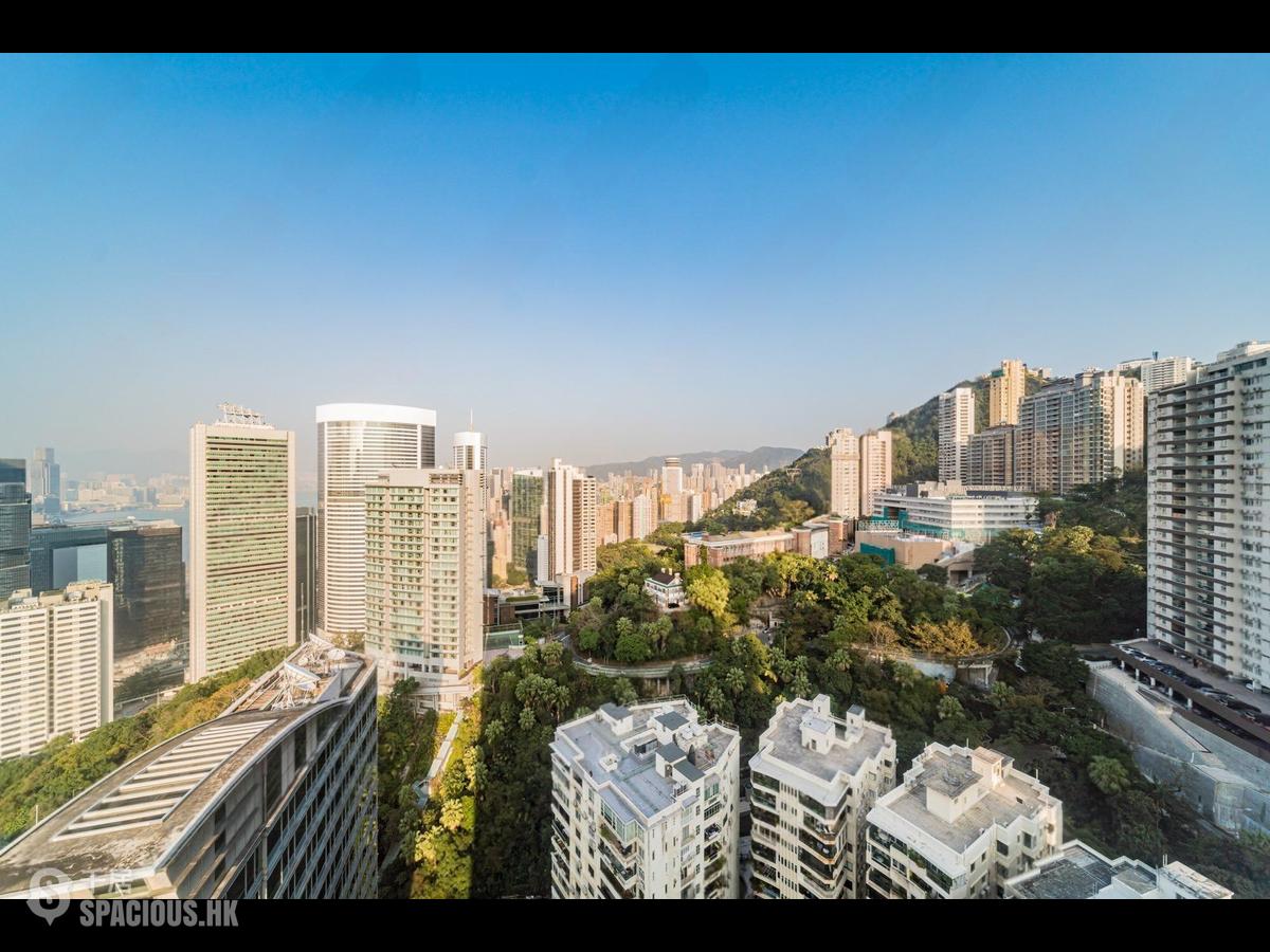 中半山 - 寶樺臺 01