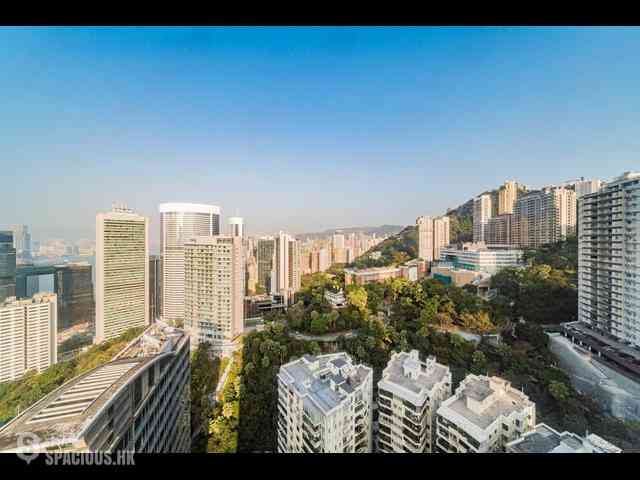 中半山 - 寶樺臺 01