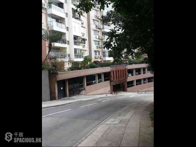Tai Hang - Swiss Towers 01